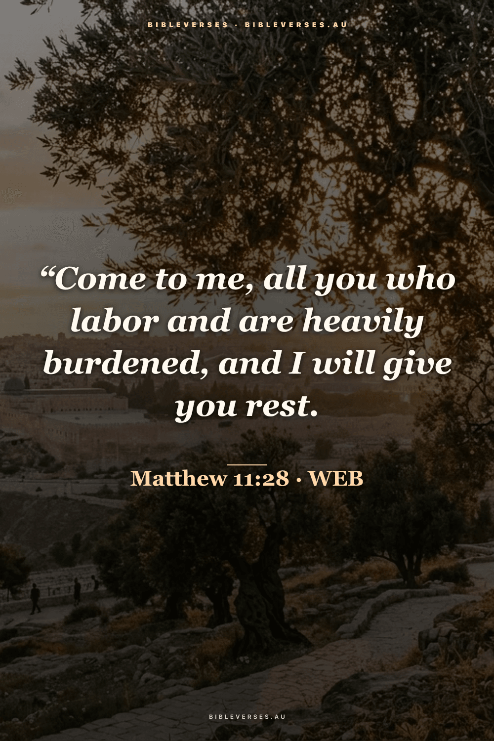Matthew 11:28 Bible verse phone wallpaper on a Mount of Olives background — free HD download from bibleverses.au