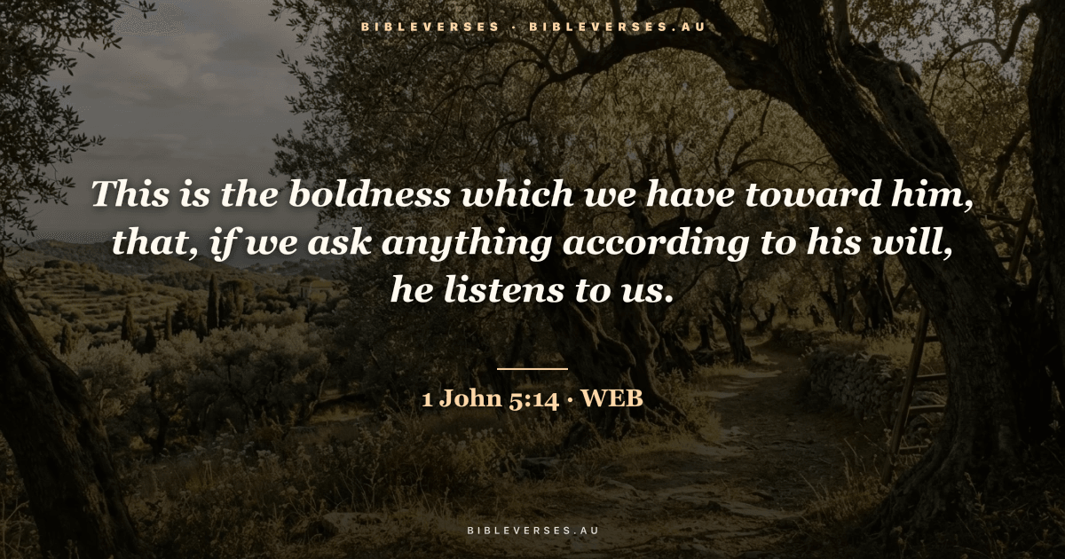 1 John 5:14 Bible verse image — "This is the boldness which we have toward him, that, if we ask anything according to his will, he listens to us." (World English Bible). Free download from bibleverses.au.
