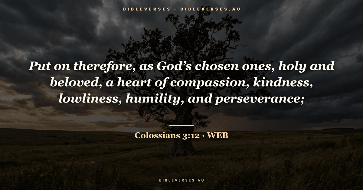 Colossians 3:12 Bible verse image — "Put on therefore, as God’s chosen ones, holy and beloved, a heart of compassion, kindness, lowliness, humility, and perseverance;" (World English Bible). Free download from bibleverses.au.