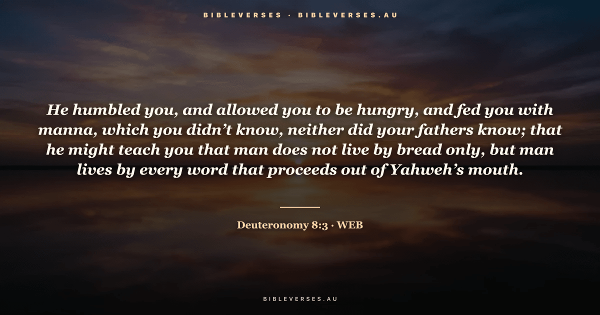 Deuteronomy 8:3 Bible verse image — "He humbled you, and allowed you to be hungry, and fed you with manna, which you didn’t know, neither did your fathers know; that he might teach you that man does not live by bread only, but man lives by every word that proceeds out of Yahweh’s mouth." (World English Bible). Free download from bibleverses.au.