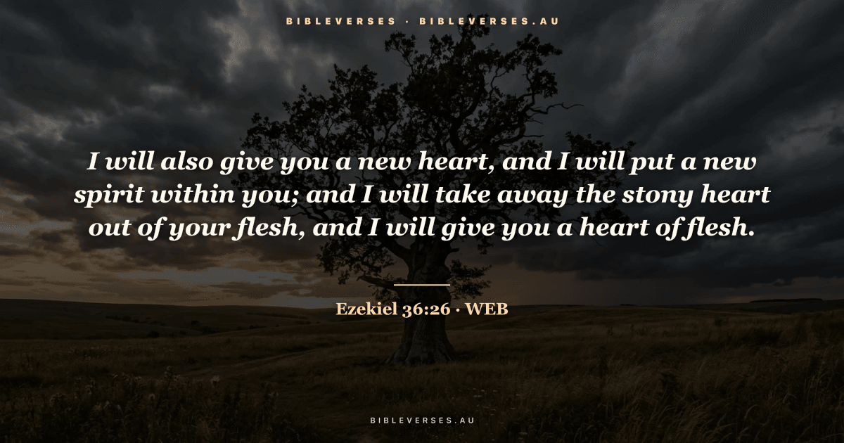 Ezekiel 36:26 Bible verse image — "I will also give you a new heart, and I will put a new spirit within you; and I will take away the stony heart out of your flesh, and I will give you a heart of flesh." (World English Bible). Free download from bibleverses.au.