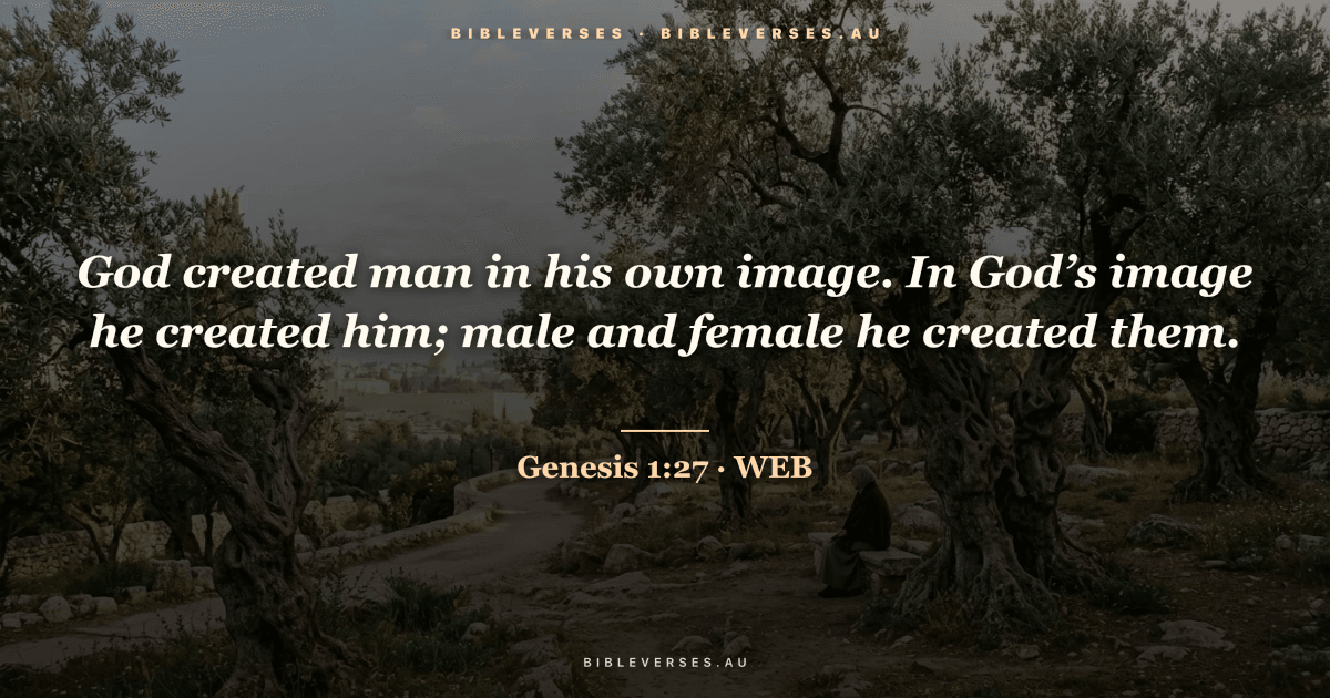 Genesis 1:27 Bible verse image — "God created man in his own image. In God’s image he created him; male and female he created them." (World English Bible). Free download from bibleverses.au.