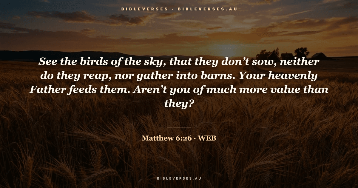 Matthew 6:26 Bible verse image — "See the birds of the sky, that they don’t sow, neither do they reap, nor gather into barns. Your heavenly Father feeds them. Aren’t you of much more value than they?" (World English Bible). Free download from bibleverses.au.