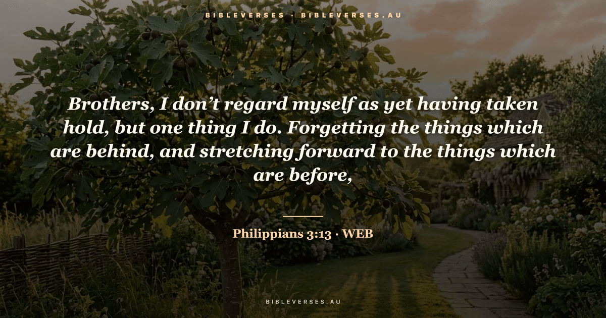 Philippians 3:13 Bible verse image — "Brothers, I don’t regard myself as yet having taken hold, but one thing I do. Forgetting the things which are behind, and stretching forward to the things which are before," (World English Bible). Free download from bibleverses.au.