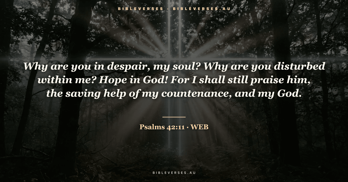 Psalms 42:11 Bible verse image — "Why are you in despair, my soul? Why are you disturbed within me? Hope in God! For I shall still praise him, the saving help of my countenance, and my God." (World English Bible). Free download from bibleverses.au.