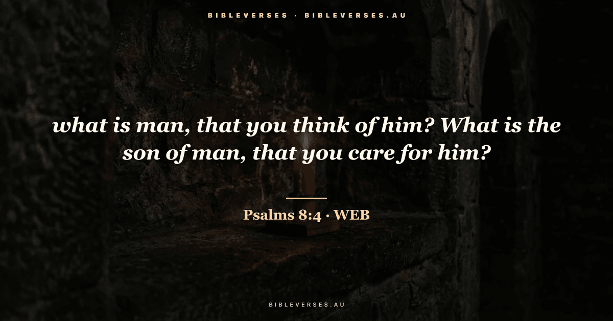 Psalms 8:4 Bible verse image — "what is man, that you think of him? What is the son of man, that you care for him?" (World English Bible). Free download from bibleverses.au.