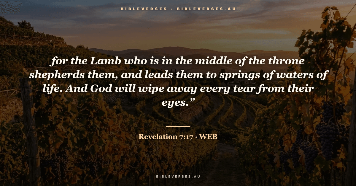 Revelation 7:17 Bible verse image — "for the Lamb who is in the middle of the throne shepherds them, and leads them to springs of waters of life. And God will wipe away every tear from their eyes.”" (World English Bible). Free download from bibleverses.au.