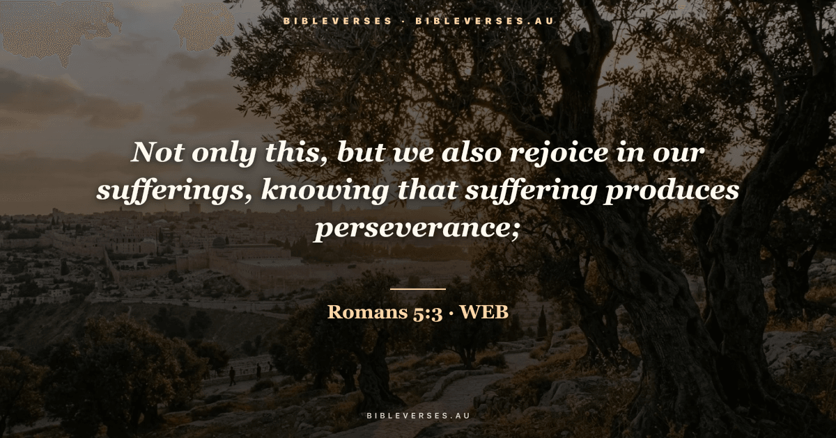 Romans 5:3 Bible verse image — "Not only this, but we also rejoice in our sufferings, knowing that suffering produces perseverance;" (World English Bible). Free download from bibleverses.au.